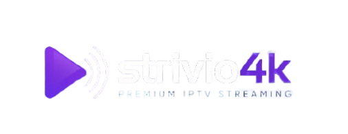 high-level-description-a-modern-streamin_GI0L-823Vym02laccF-YSw_WIo7yBCWTnK_2qhrGAorVQ-removebg-preview